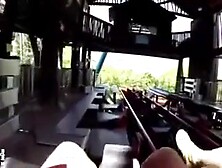 Gals Visit Busch Gardens Amusement Park