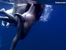 Underwater Show featuring doxie's dress scene