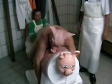 pig play