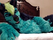 Fun Before Bed - Fun In A Fur Suit