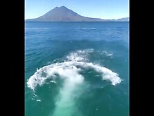 eliza flores edecan chapina culazo