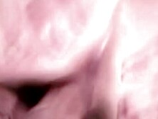 Watch tender lady-love's trailer