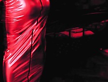 Domina Eva fetish silver dress cock play mistress bdsm femdom milf dominatrix