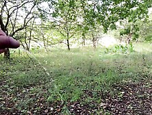 Peeing Near A Path With My Big Cock