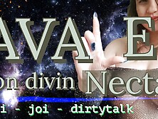 Devin Nector from Awale (CEI,  Joey,  Dirtitalk)