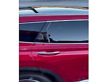 Trucker Caught Her Masturbating