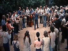 "Stay Hungry" (1976)