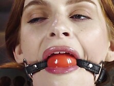 Bound In A Steel And Anal Fucked