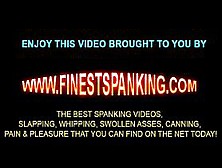 Bitch Deserves Hard Spanking