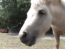 Babe flashes at the barn - DreamGirls