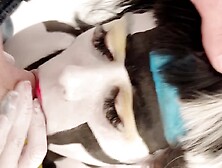 Body paint photo shoot and I end up fucking the photographer