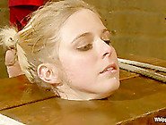 Penny Pax has been Felony'ed