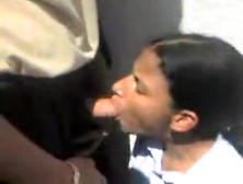 College Girl Blowjob