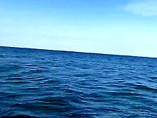 Exhibitionist Wife Flashes at Public Beach