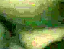 Hot ass and white panties in up skirt video