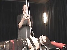 Un porco umilia una gnocchetta