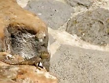 DANGEROUS SEX: Fucking 3, 000ft in the Air