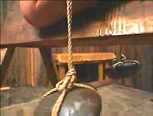 The horse SADOMASOCHISM (Censored) SMG