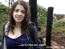 Cute tiny screws in the rain Czech street pick up