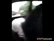 Filipina Teen Blowjob In Car Beside Police Van