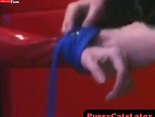 Pussycatslatex. Com - Anastasia's Latex Toying With Leather Mistress