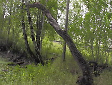 Mouth and pussy of hot girlfriend in lingerie opened for sex