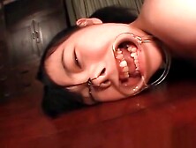 Hardcore ass dildo fucking for brunette teen 18+ asian sex slave