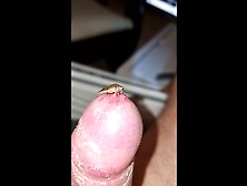 Bug Exploring My Cock 5