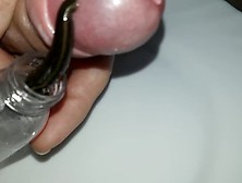 My first Leech xperience