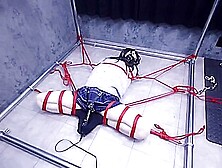 Bondage And Punish