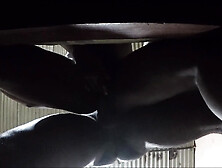 Nasty Stud, King of Poses