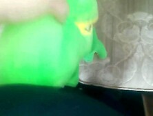 Green dinosaur t-rex