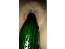 Amateur Lady Cucumber And Ash Pussy