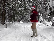 Winter Forest dance