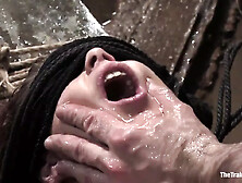 The Training of Bella Rossi,  Day Three