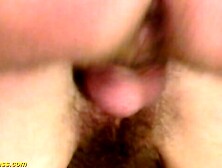 B1tch,   GR@NN1,  BU$H,  €Lk€,  N@G0LD,  H. D