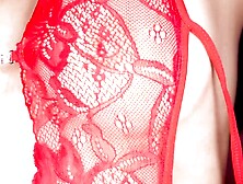 Playground for Sinners Mandy Waters Takes on the Beast