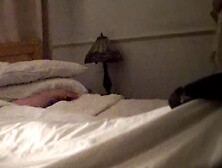 Milf sucks cock on her knees and wanks him off