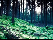 Sorrow (LustFight) - Ep 1 - Wonderland By RedLady2K