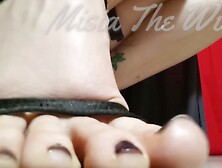 Giantess Mistress Pov Crush Of The Sole Licker Slavebug