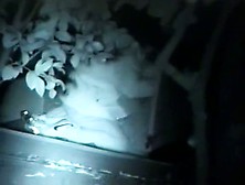 films lovebirds having sex at night outside in clothing.