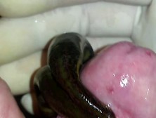 part two double leech trouble