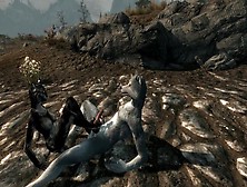 Khajiit Foot Fetish Fun-Skyrim Khajiit And Furry Anthro Wolf Yiff And Breed