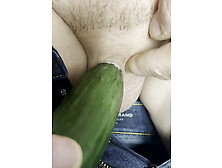 Inverted Cock Cucumber,  Fuck Fest