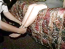 Sensational experiences 2129200