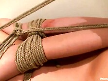 Young Coby hogtied II