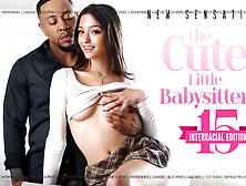 The Cute Little Babysitter #15 - INTERVIEWS - NewSensations