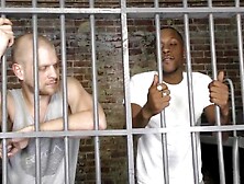 Dude Gets His Ass Destroyed With Cell Mate's Hard Cock