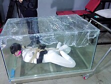 Vibrator Escape Artist Bodysuit