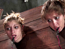 Two Tied Up Sluts Screaming in Pain and Excitement in BDSM Sex